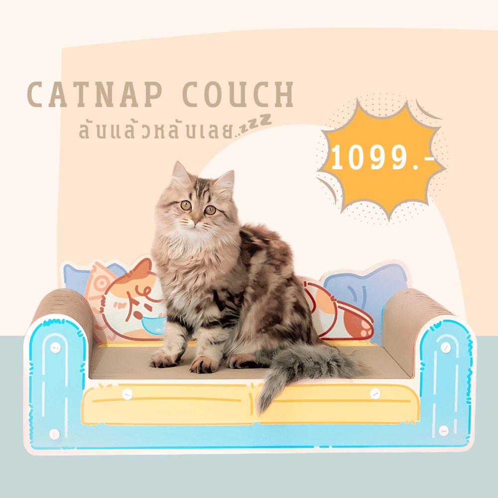 ที่ฝนเล็บแมวแบบโซฟา PETELLE รุ่น PAW PAD (CATNAP COUCH)_1